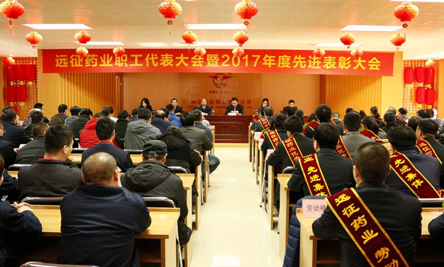 不忘使命 砥砺奋进 续写丝瓜视频
蓬勃发展的新篇章