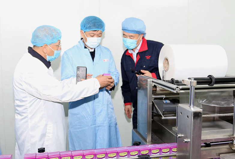河北省商务厅领导到丝瓜视频
进行出口业务调研